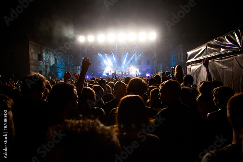 Crowd at concert