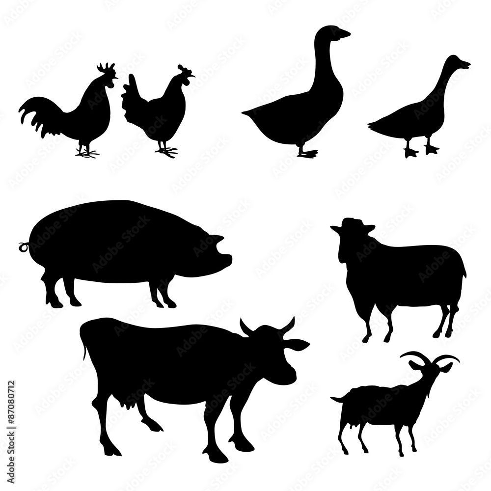 farm animals farm animals