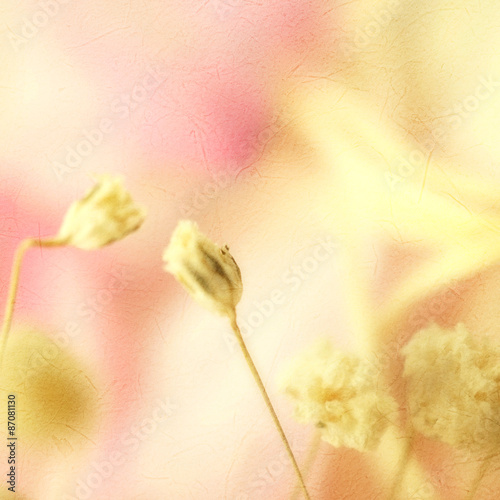 weed flowers in sweet color style on mulberry paper texture for background
