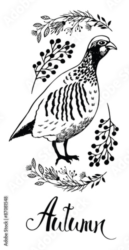 Autumn design card with bird partridge and wild herbs photo