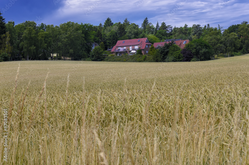 Wheat field and a house in rural Germany Wheat field and a house in rural Germany