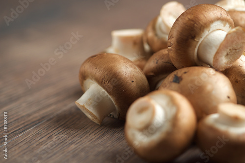 Fototapeta mushrooms
