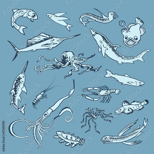 Fish2col