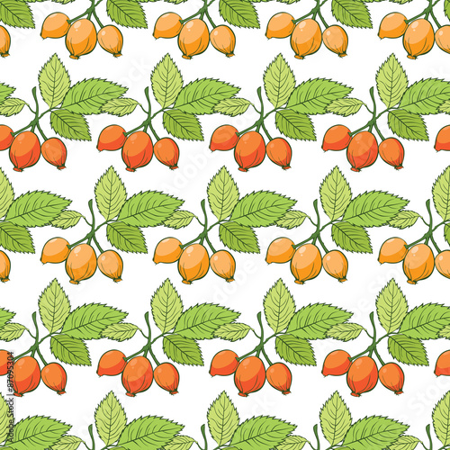 Vector Rosehip Sosa Berries Stripes Seamless Pattern