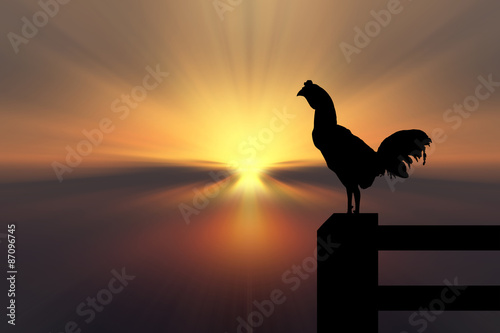 Chicken silhouette sunrise background Fototapeta