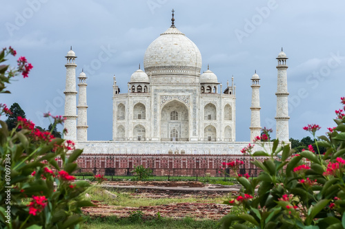 Taj Mahal with red flowers on the front, Agra, #87097384