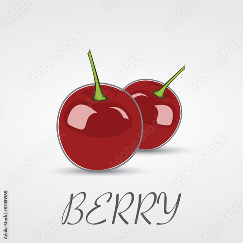 Berry Cherry Vector Logo Design