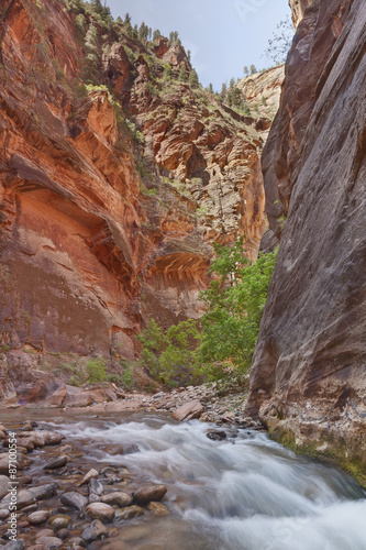 Narrows - Zion National Park