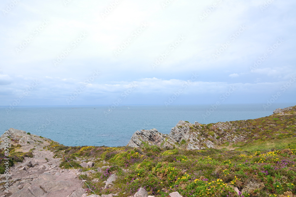 mouette du cap frehel