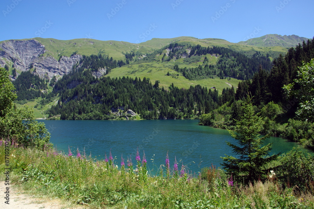 Fototapeta premium lac de saint- guérin-savoie