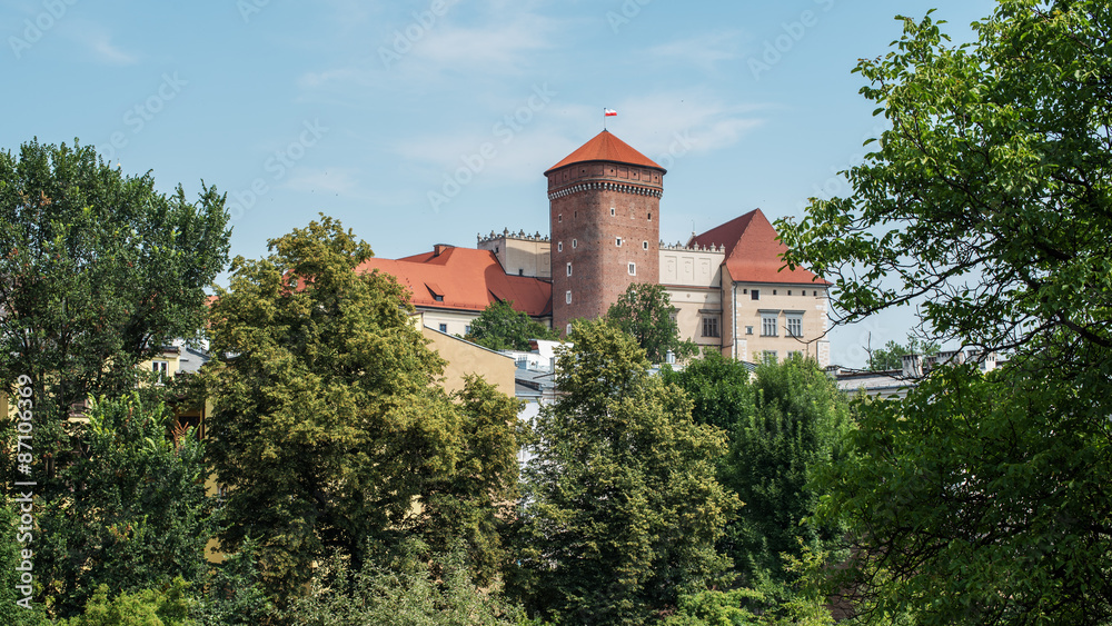 Wawel castle in Krakow (Poland)