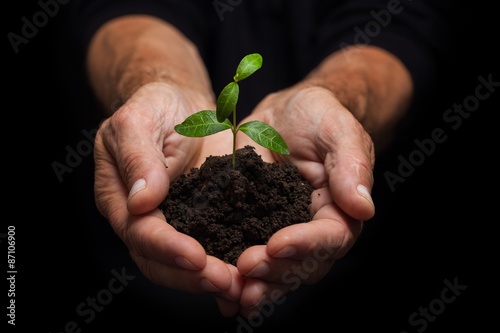 Plant, Human Hand, Growth.