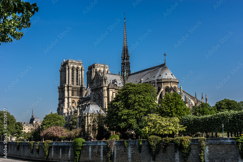 Cathedral Notre Dame de Paris - Roman Catholic cathedral, Paris.