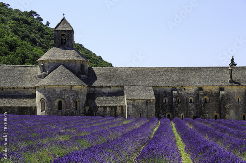 Old Senanque Abbey with blooming lavender field (Provence, France)