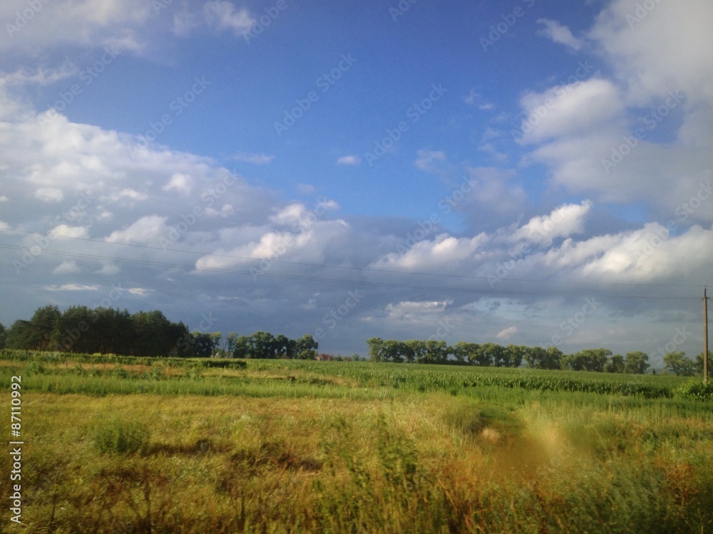 fields of Ukraine