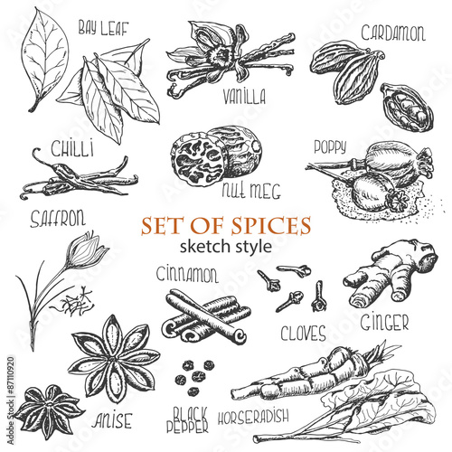 set of spices in sketch style Fototapet