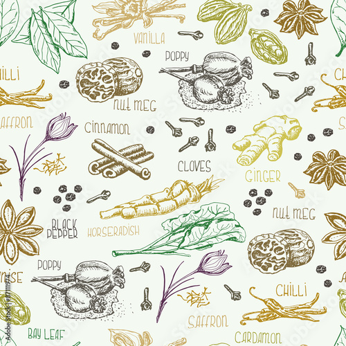 Seamless pattern with multi-colored spices