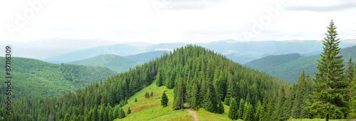 Panorama of Beautiful Mountain forest #87116309