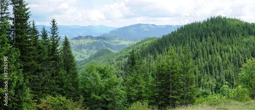 Panel kuchenny z motywem Panorama of Beautiful Mountain forest