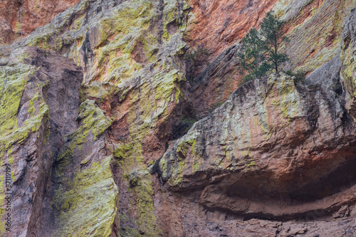 Cave Creek Canyon