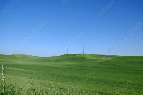  wheat farm land in palouse washington or grass field