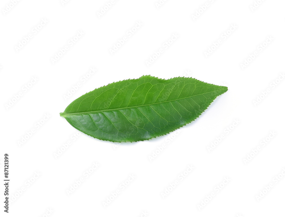 Obraz premium Green tea leaf isolated on white