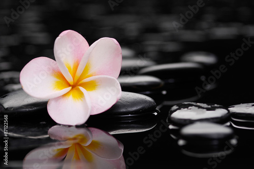 Still life with zen wet stones and frangipani