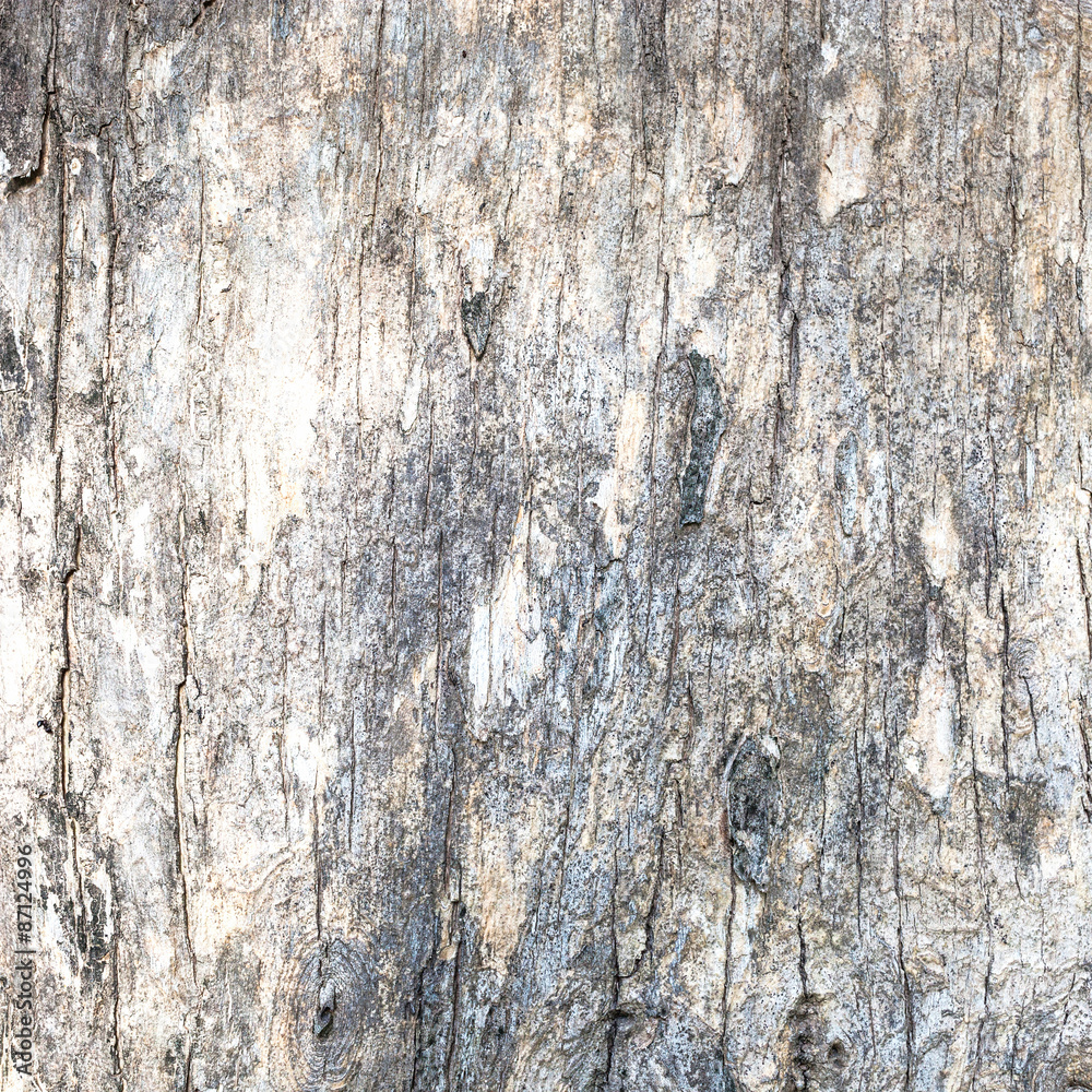 large and textured red old wooden grunge background large and textured red old wooden grunge background