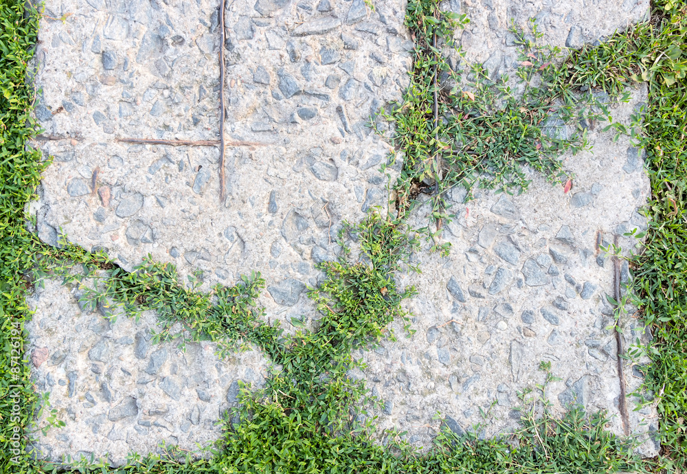 Naklejka premium Grey background and green grass