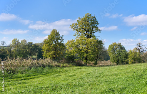 Autumn landscape - meadow.