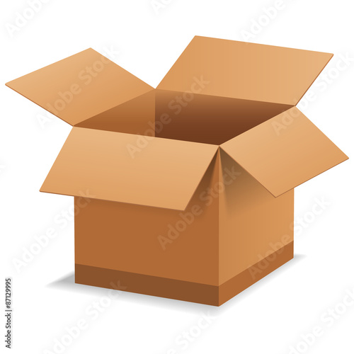 3D Cardboard Box