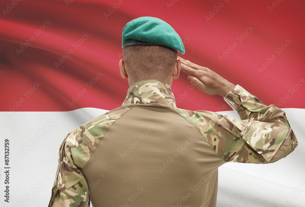 Dark-skinned soldier with flag on background - Monaco Dark-skinned soldier with flag on background - Monaco