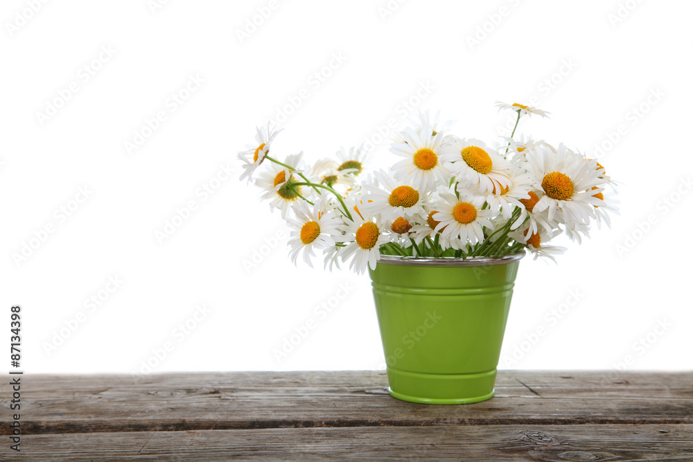 Bouquet of daisies in a green bucket