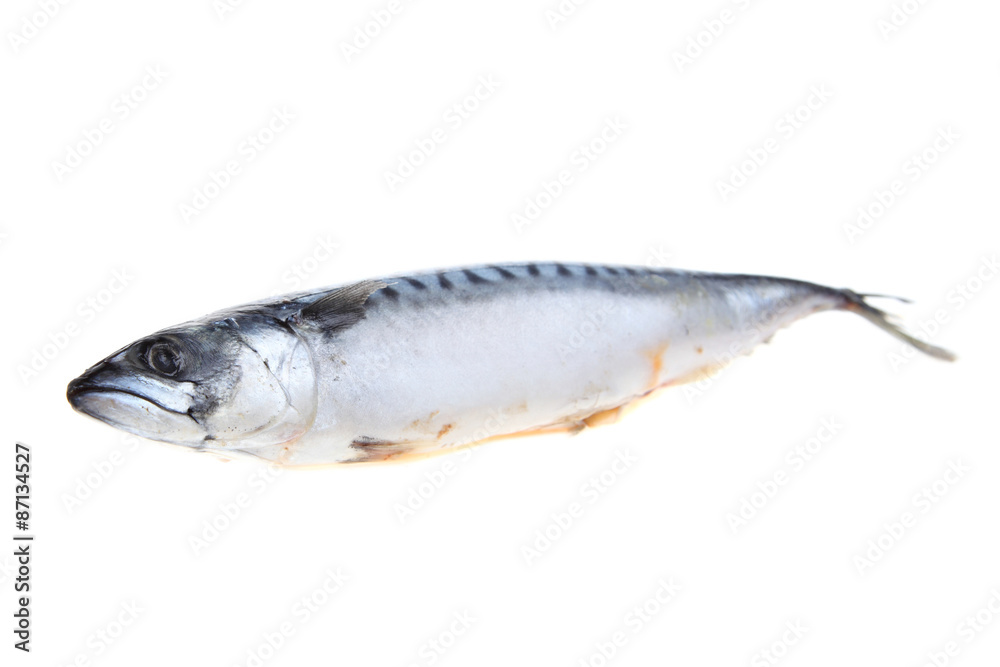 Raw mackerel Raw mackerel