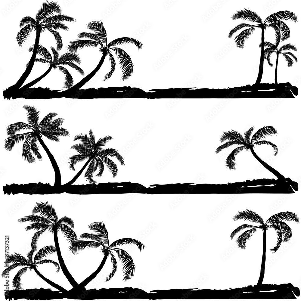 palm black silhouette. Vector illustration