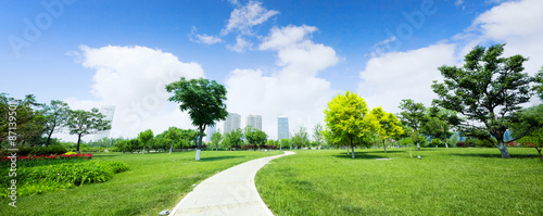 long footpath in meadow of park