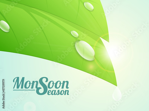 Green leaf and water drop for Monsoon.