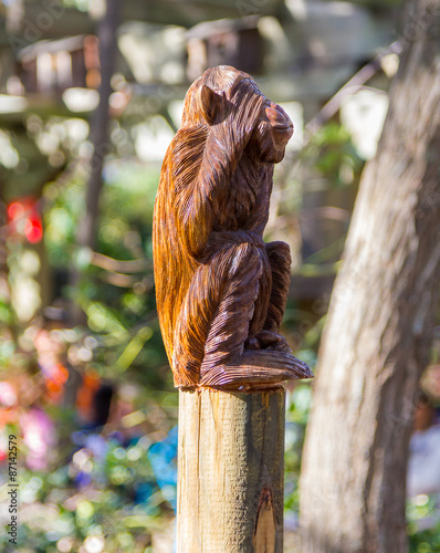 Photography monkey covering his eyes