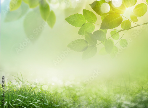 Abstract spring background 23