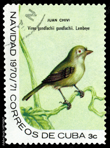 Stamp.  Bird  Cuban vireo. photo