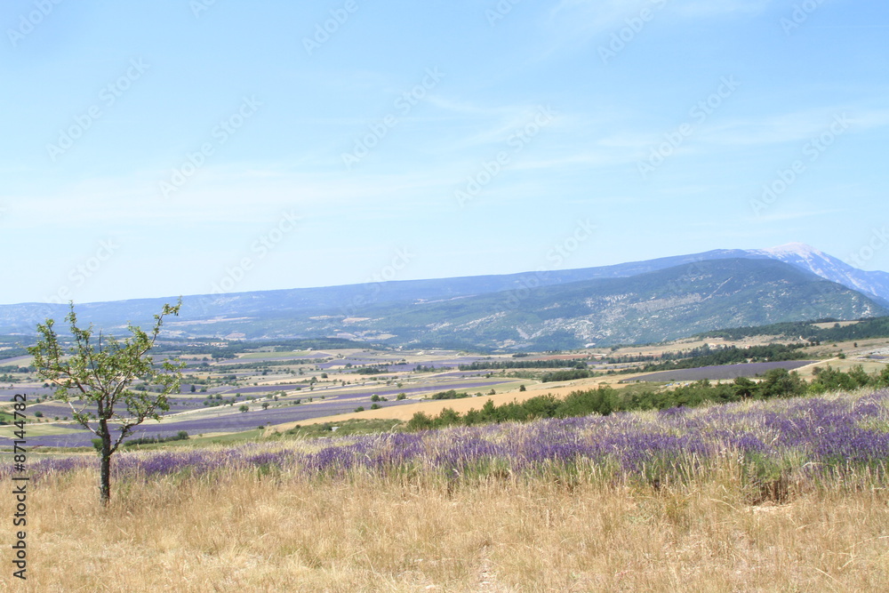 paysage de Provence en 2015