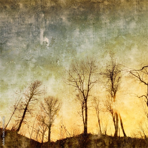Textured image of bare trees on sunset