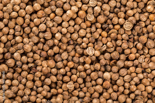 Background of dried coriander seeds