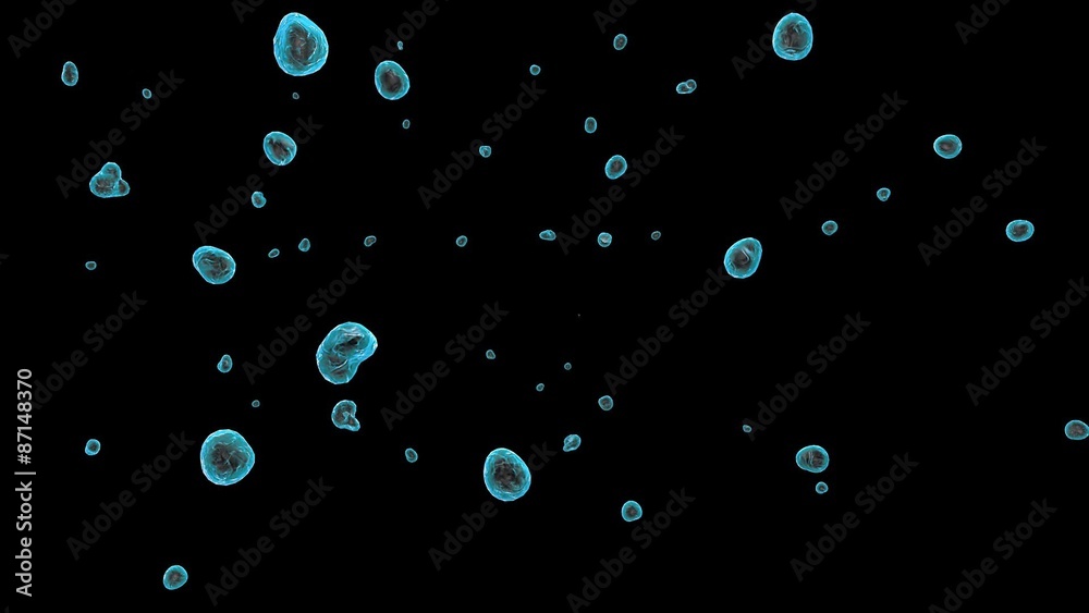 Cells Flow Cells Flow