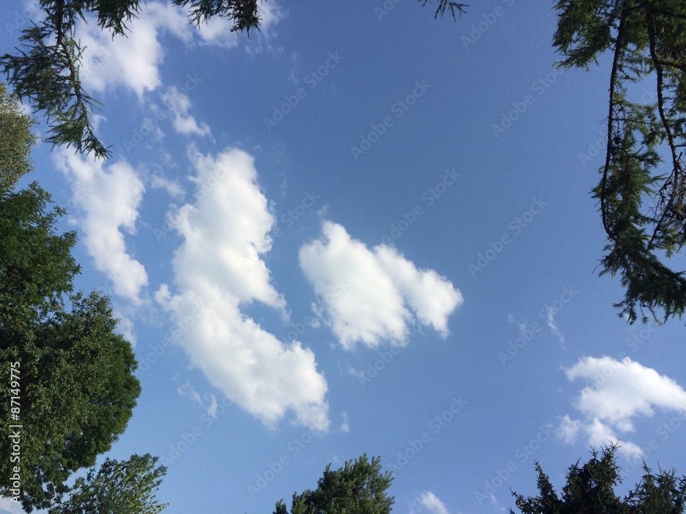 Obraz premium Blick in den Himmel