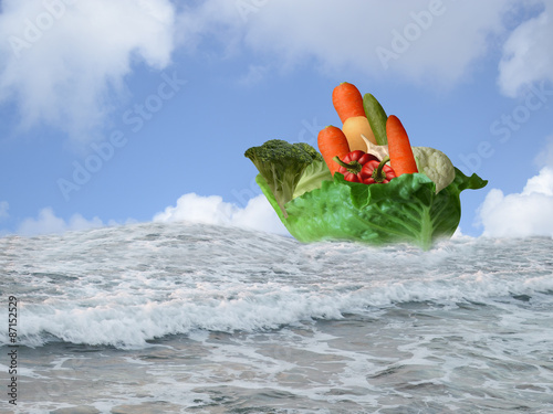 Ship of Dreams vegetarian