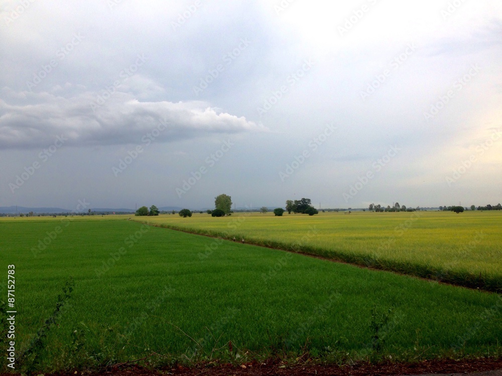 Obraz premium sunset