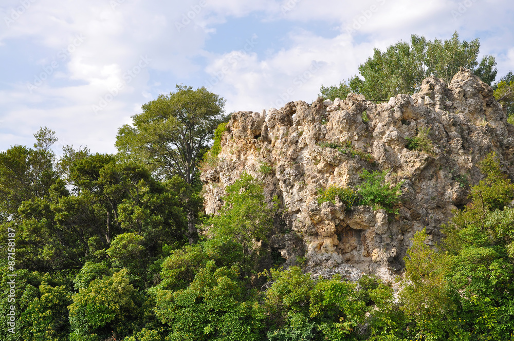 Park at Avignon