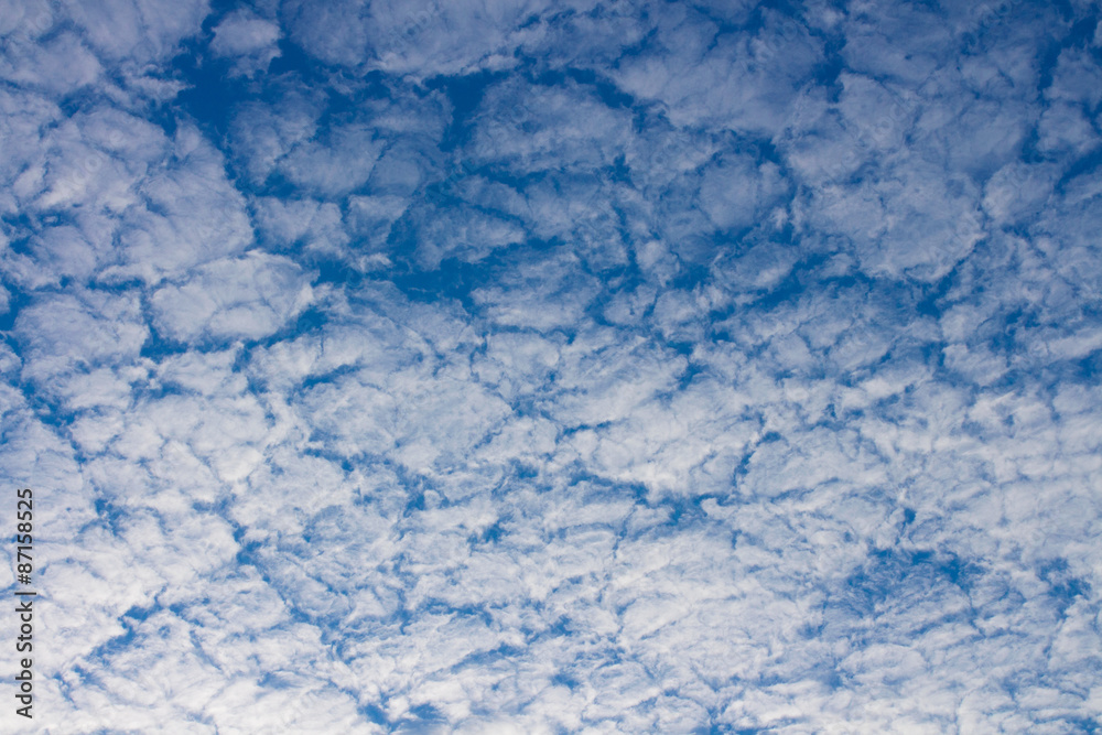 White clouds on a blue sky White clouds on a blue sky