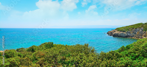 green coast in Sardinia © Gabriele Maltinti
